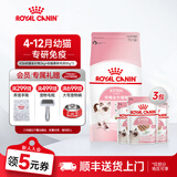 皇家幼猫奶糕猫粮 离乳期孕猫BK34通用粮 1-4月增强免疫亲肠胃助消化 【4-12月】K36/2kg+幼年期猫湿粮（慕斯肉泥）*3