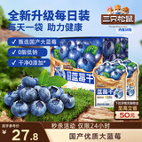 三只松鼠每日蓝莓干256g/16包 无添加水果干果脯小包装儿童老人办公室零食