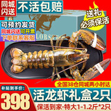 首鲜道【活鲜】波士顿龙虾鲜活波龙 大龙虾海鲜鲜活礼盒大虾年货礼盒 波龙1-1.2斤*2只（同城闪送）
