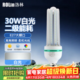 洛林（ROLin）led灯泡节能灯泡 e27大螺口家用商用大功率光源 30W白光