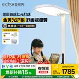 童视界金黄光护眼大路灯语音智控全光谱客厅学习落地灯儿童阅读灯150W