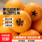 京喜加正宗云南蒙自高山五星长虹甜枇杷新鲜采摘孕妇止咳化痰水果 2斤尝鲜装（单果重15克+）