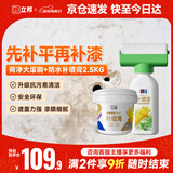 立邦墙面修复补墙膏荷净补墙漆防水防霉抗菌腻子膏白色 500g+2.5kg