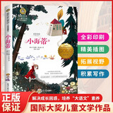 小海蒂 美绘典藏版国际大奖儿童文学 小学生三四五六年级课外阅读9-12-15岁儿童读物推荐阅读3-6年级寒暑假书青少年世界经典名著故事书