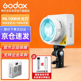 神牛（Godox）ML100R L全彩补光灯可调便携夜拍灯人像户外控制室电影视频摄像灯 ML100R L【官方标配】