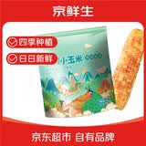 京鲜生云南香糯小玉米2斤 25年新玉米 西双版纳小花糯 多种包装随机发货