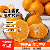四川不知火丑柑香甜多汁清甜爽口当季耙耙柑橘子桔子 带箱10斤【净重9斤】特大果85mm+