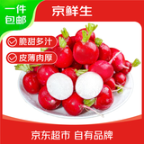 京鲜生 云南高原樱桃小萝卜净重2斤 去缨迷你小红萝卜清甜脆嫩源头直发