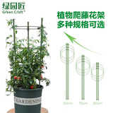 绿园匠植物防倒伏支架绣球吊兰金属支撑杆园艺固定架爬藤月季花卉花架