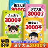 识字大王3000字（全4册）3-6岁幼儿启蒙认字神器 儿童看图入门学前识字 幼儿园大班幼小衔接看图识字卡片 组词造句积累早教书籍