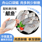 纯色本味冷冻舟山口袋鲳净重700g白鲳银鲳鱼平鱼