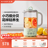 北鼎（Buydeem）多功能养生壶 家用保温壶 迷你煮茶壶便携煮茶器 茶咖萃取烧水壶 送礼好物 【一体式单壶】浅杉绿K32| 0.6L