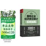 国有企业经济责任审计实务指南（人邮普华出品）