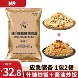M9陆勤自热米饭炒饭应急储备户外自驾游旅行野战速食快餐世纪融合 餐谱一(什锦+酱油)炒饭