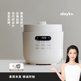 olayks立时 电压力锅 高压锅 圆满高压电饭锅家用快煮预约压力锅5L适用4-6人双内胆 OLK-501DC