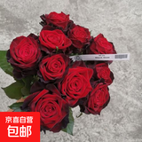 玫瑰花苗老桩绿植物盆栽月季蔷薇老根室内外阳台庭院特大花卉四季 38黑金（老桩苗四季开花）