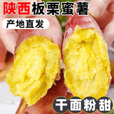 陕西板栗红薯蜜薯杂粮自然熟地瓜番薯果蔬整箱 精选3斤【粉糯香甜】拇指红薯净2.5斤 新鲜