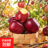【精选】正宗甘肃花牛苹果新鲜红蛇果脆甜粉糯两吃5斤高档礼盒装 带箱3斤净重2.5斤60-70mm 脆甜粉糯一果两吃