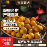 广西融安金桔当季新鲜水果柑橘脆蜜滑皮金柑年货送礼物产地直发 【首选】净重4.5斤 | 2号果