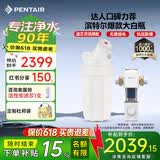 滨特尔（pentair）大白瓶前置过滤器 全屋家用自来水过滤器 前置净水器大蓝瓶 中央净水机大流量大胖瓶高精度 10寸大白瓶+前置L250