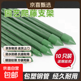 包塑钢管园艺支架杆黄瓜豆角葡萄种菜爬藤架绿植架攀爬架 直径20mm长度240cm【10支装赠 10 个钢丝扣】