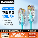 泛达 泛达六类细网线CAT6类千兆跳线POE监控办公家用水晶头宽带成品网线 冰湖蓝 15米