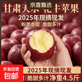2025年现摘现发甘肃天水花牛苹果新鲜红蛇果粉面生鲜脆甜多汁A14 带箱5斤净重4.5斤  果径75mm以上