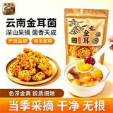 沛沛佳云南新鲜金耳精选干货500g 黄银木耳煲汤炖汤食材 源头直发包邮