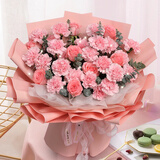 馨仪鲜花速递玫瑰向日葵康乃馨花束生日礼物全国同城配送 33朵粉色康乃馨玫瑰混搭花束