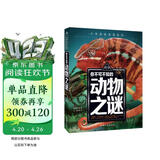 你不可不知的动物之谜 世界未解之谜 中小学生科普读物少儿百科三四五六年级课外阅读书 少年探索发现系列