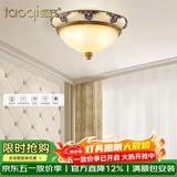 韬齐 欧式吸顶灯客厅现代简约主卧室灯美式阳台灯具 18160D-中号 直径38CM 配单色LED灯泡