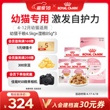 皇家猫粮 幼猫猫粮 干湿搭配 K36 4.5kg+啫喱肉冻KJP 85G*3