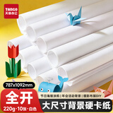 天章 （TANGO）白卡纸全开220g白色加厚大尺寸海报纸787*1092家长会活动背景儿童绘画手工硬卡纸10张P90071