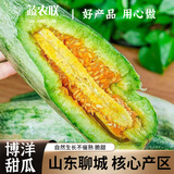 蔬农联山东博洋羊角蜜瓜香瓜甜瓜当季新鲜水果现货速发端午节日送礼 精选4.5斤礼盒装