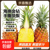 海南金钻凤梨 新鲜水果手撕凤梨孕妇水果 果园直发整箱包邮非菠萝 带箱4斤凤梨 单果500g起约2-3个