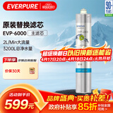 爱惠浦 Everpure EVP-6000 净水器主滤芯
