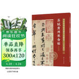 十大行书名帖放大临摹本--苏轼黄州寒食帖