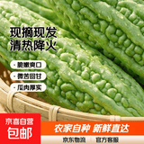 京喜加【京东物流】农家新鲜苦瓜蔬菜清热降火农家自种现摘现发生鲜 新鲜苦瓜 4斤 带箱