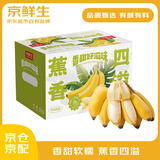 京鲜生 国产苹果蕉 香蕉 小米蕉 3斤装 生鲜水果礼盒