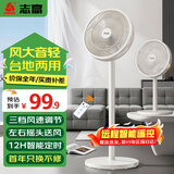 志高（CHIGO） 电风扇落地扇家用立式电扇台扇摇头扇小型办公室宿舍家用风扇遥控空气循环风扇 中号遥控款7叶（标准型）