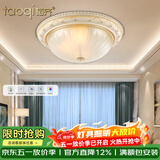 韬齐 欧式吸顶灯客厅现代简约主卧室灯美式阳台灯具 J2014-小号 直径30CM 配单色LED灯泡