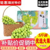 玖原农珍 四川阳光玫瑰葡萄大颗粒纯甜晴王整串 当季新鲜水果礼盒 臻选装含箱5斤净果4斤约7-15g礼箱装