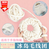 坤随冰岛毛线手工编织diy超粗2cm钩织灌心棉线自制包包猫窝抱枕床围 乳白色【1团装 约8m】