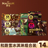 梦龙全系列组合 12支+2杯 811g冰淇淋