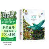 青鸟（新）美绘典藏版国际大奖儿童文学 小学生三四五六年级课外阅读9-12-15岁儿童读物推荐阅读3-6年级寒暑假书青少年世界经典名著故事书