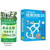 儿童益智进阶迷宫训练1入门篇：儿童控笔训练 运笔训练卡 幼儿园专注力训练 逻辑推理训练 迷宫大冒险可反复使用赠擦写笔板擦 