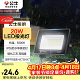 公牛（BULL）LED投光灯户外庭院工厂园林灯露营灯 IP65防水等级20W-6500K白光