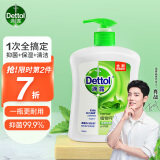 滴露Dettol健康抑菌洗手液植物呵护500g 抑菌99.9% 