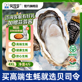 贝司令鲜活乳山生态生蚝4XL 净重4斤 8-11只 生鲜源头直发露营聚会