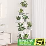 WOJIA花架客厅落地式阳台置物架户外庭院多肉花盆架层架扩展架可移动